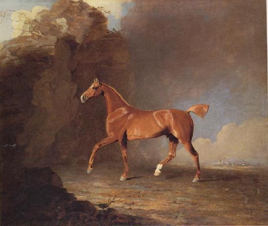 Benjamin Marshall A Golden Chestnut Racehorse by a Rock Formation With a Town Beyond oil painting picture